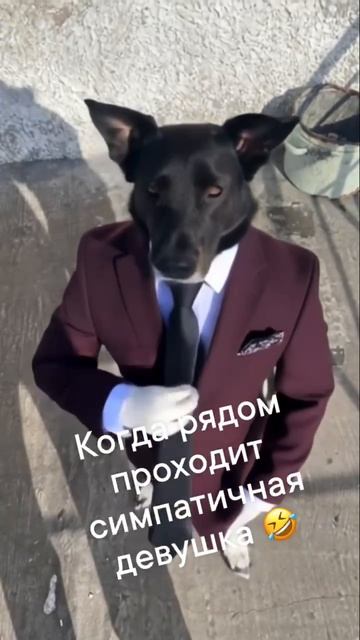 Стерлинг Арчер вернулся!