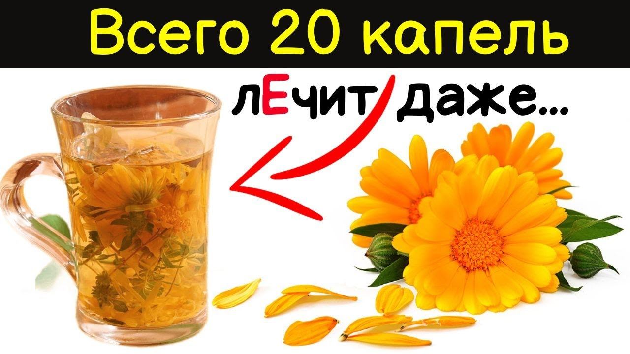 Годами мучилась, а спасла настойка КАЛЕНДУЛЫ! 85% людей не знают об ЭТОМ смотреть онлайн
