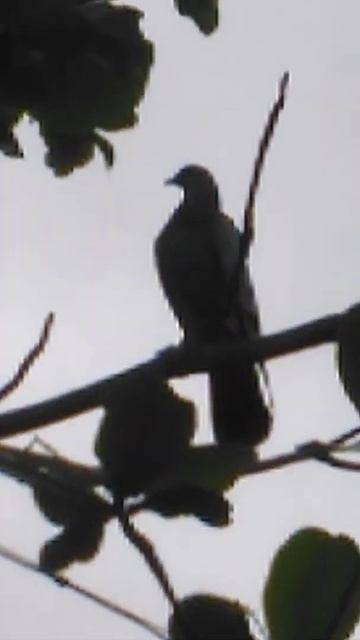 9 July 2022 смотреть онлайн