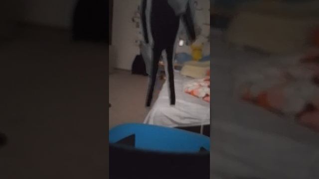 Они обманули меня смотреть онлайн