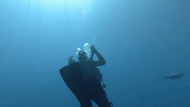 Wreck diving at MS Zenobia in Cyprus - one of the top 10 dive sites in the world смотреть онлайн