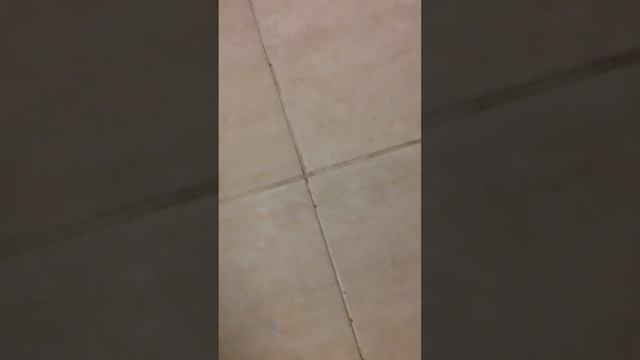 Муравьи смотреть онлайн