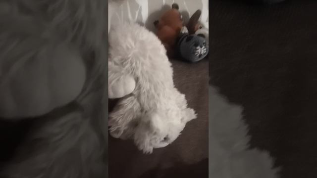 Продолжать? смотреть онлайн