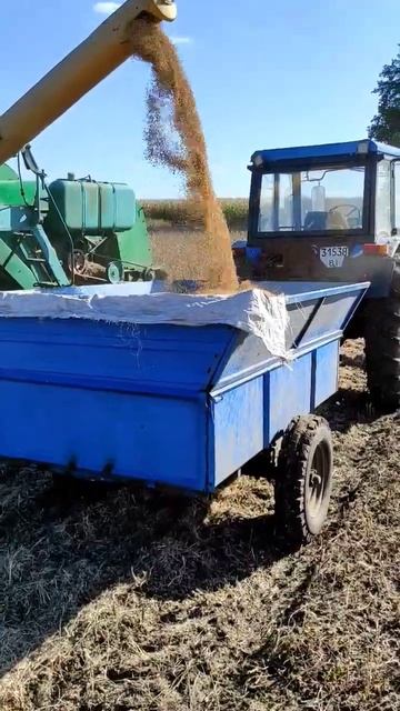 Уборка сои комбайном НИВА СК5 Опошня смотреть онлайн