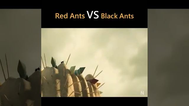 Black Ant vs Red Ant смотреть онлайн