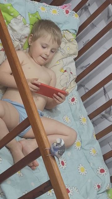 Лера укладывает арину смотреть онлайн