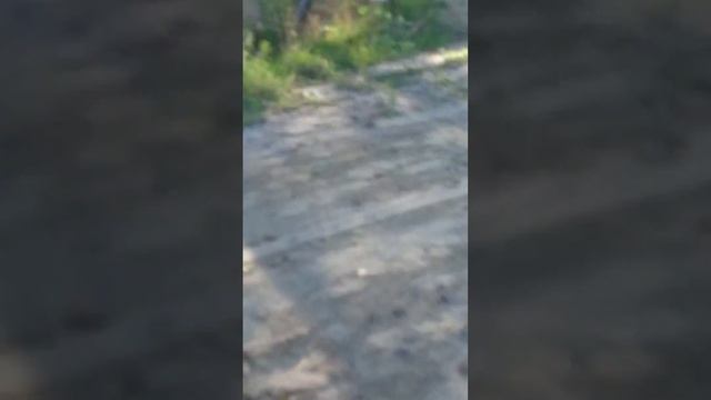 ... ПРО ОСТРОВ ДЛЯ МОЛОДОЖЁНОВ... смотреть онлайн