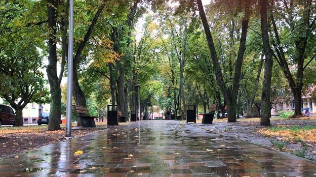 Осінь / Autumn смотреть онлайн