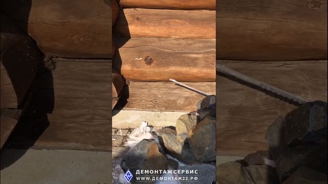 Бурение дерева смотреть онлайн