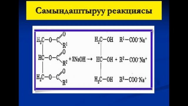 Майлар жана алардын касиеттери