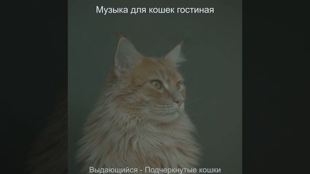Музыка (Милые кошки) смотреть онлайн