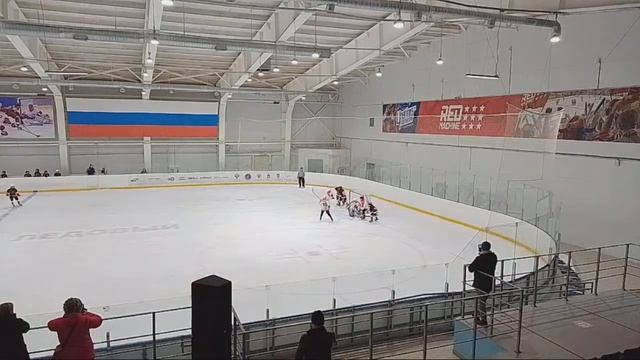 Медведи смотреть онлайн