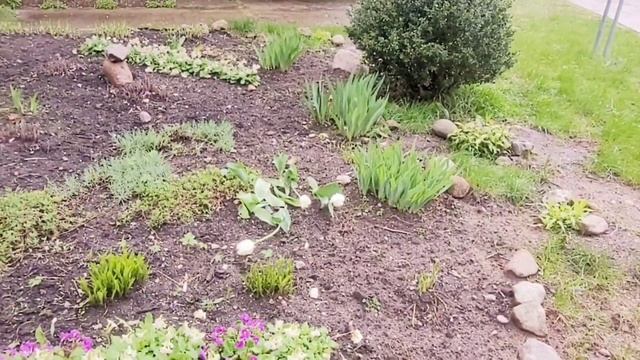 Где оно потерялось .....