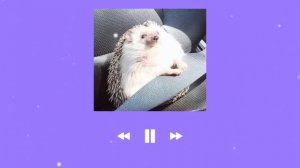 ♧песни для уборки и танцев♧ ♡speed up♡