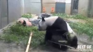 Когда сзади кто то пукнул.