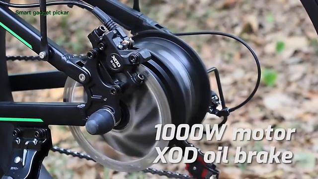 ALFINA FX-2000 Electric Bike 1000W Tech