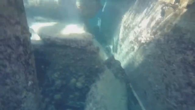 Wreck of SS Sapona freediving смотреть онлайн
