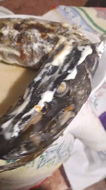 Фаршированная щука.