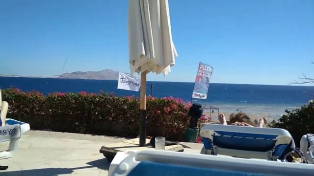 Шарм 2018 Day 2 CYRENE GRAND птички