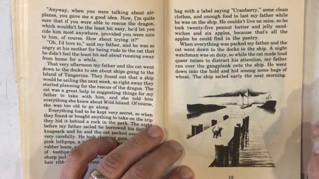 Chapter 2 My Father's Dragon "My Father Runs Away" w/ Comprehension Questions; Storytime Read Aloud смотреть онлайн