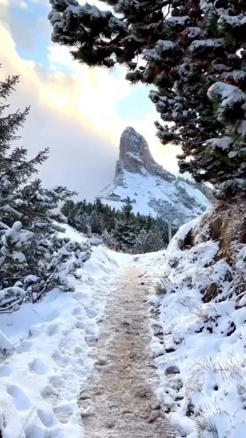 Exploring The Beauty Of Switzerland: Flowers, Snowy Mountains, Waterfalls, Houses, And More!