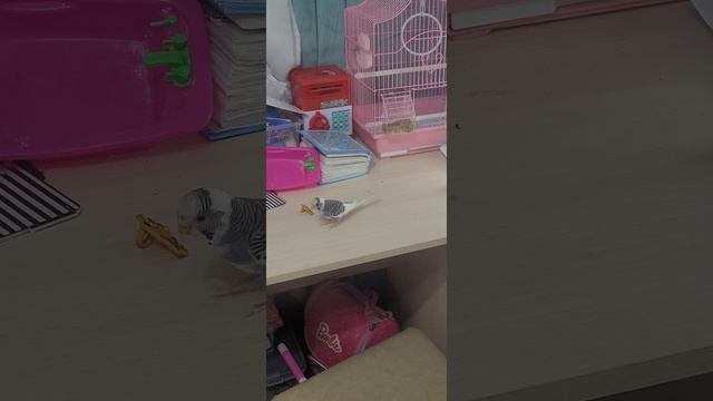 Лера смотреть онлайн