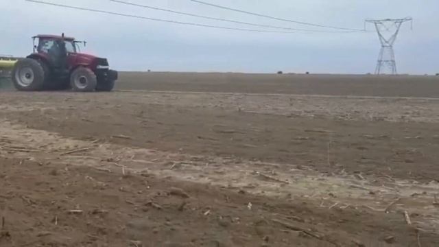CASEIH PUMA 210 Sowing with JOHN DEERE NO TILL 10 Row 76CM смотреть онлайн
