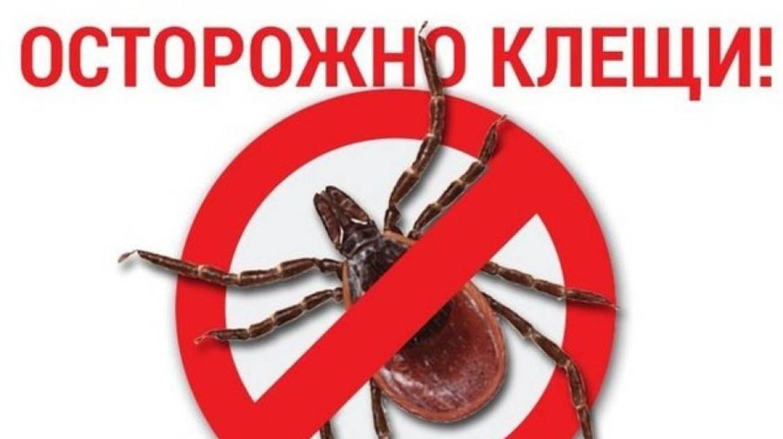 ОСТОРОЖНО КЛЕЩИ! смотреть онлайн