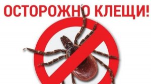 ОСТОРОЖНО КЛЕЩИ!