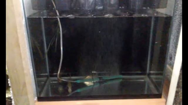 Аквариум аквапоника Aquarium Aquaponics