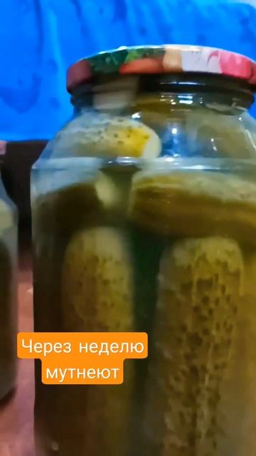 Что не так с огурцами? смотреть онлайн