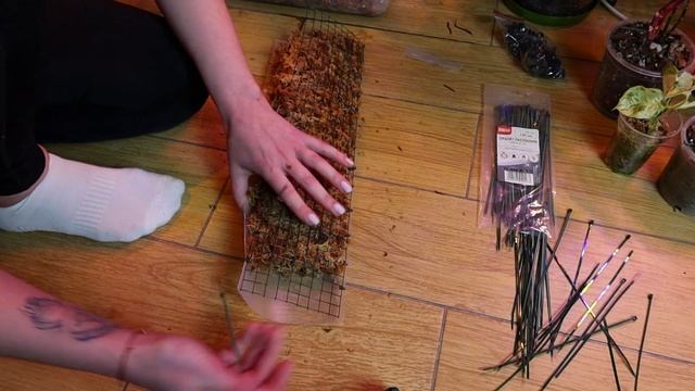 DIY palik z mchu z tylną ścianką 🤨🤩🥳 смотреть онлайн