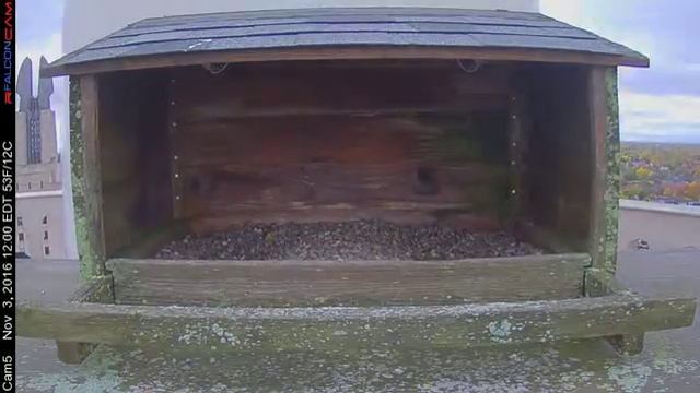 Camera 5 - 11/03/16 смотреть онлайн