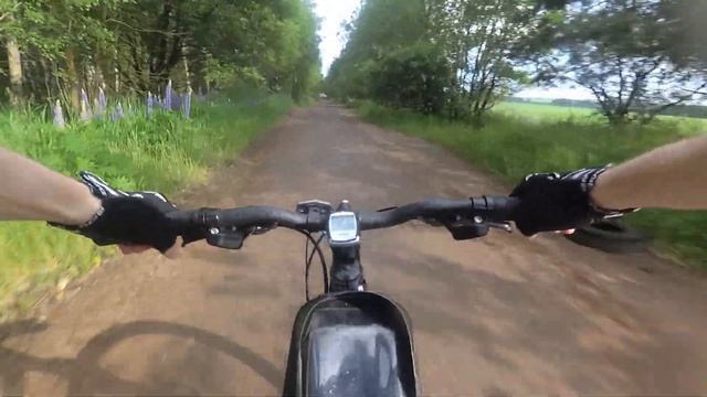 Покатушки по лесу. Своя атмосфЭра. Начало) смотреть онлайн