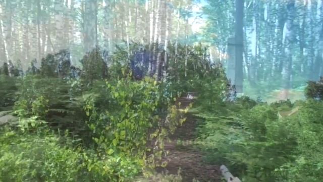 Шум берёз. Муз. К. Орбеляна, сл. В.Лазарева. Поёт Галина Ненашева смотреть онлайн