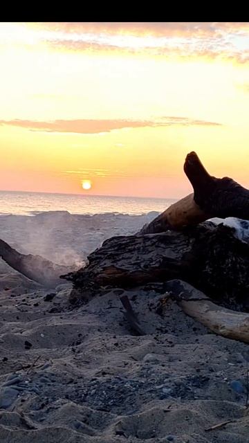 Anglesey sun 'n' sand смотреть онлайн