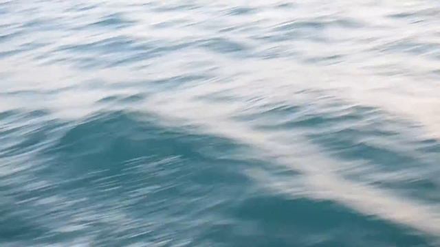 Море, Мы, Дельфины, Яхта... смотреть онлайн