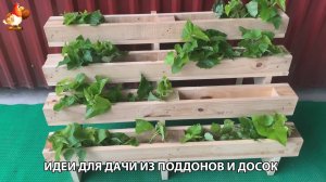 Подставка из поддонов для рассады и растений на дачу или в сад своими руками