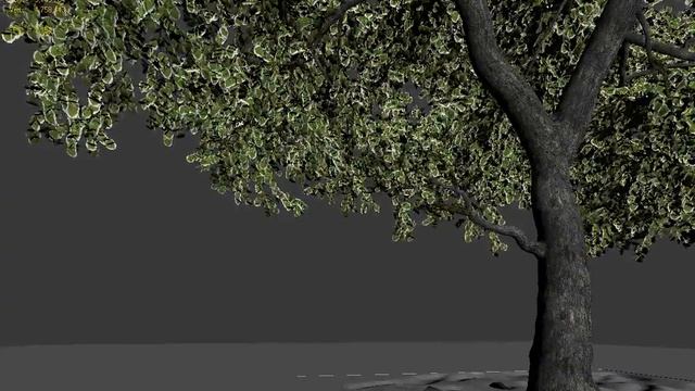 growFx animation test смотреть онлайн