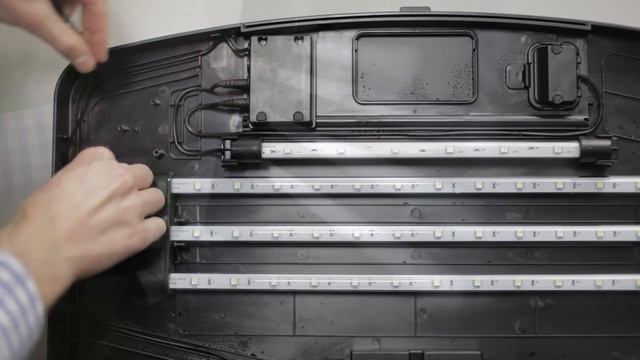 How to upgrade your LED Lighting for Insight 64l Aquarium смотреть онлайн