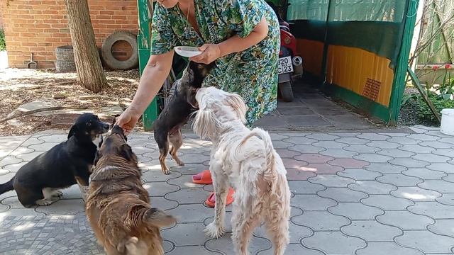 Живу на Море. С праздником светлой Пасхи!