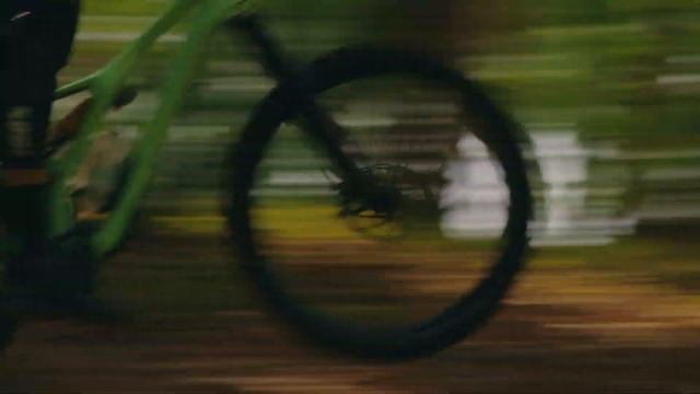 Wake-N-Shred смотреть онлайн