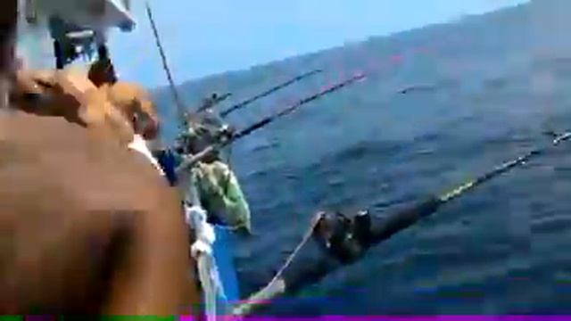 handline Fishing Whit electric reel got big fish on Malaysian sea смотреть онлайн