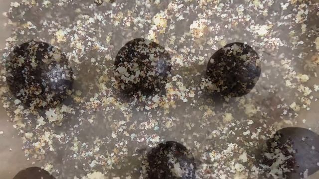 Cupcakes To Cake Pops