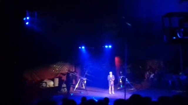 цирк - золотой дракон (Чебоксары) смотреть онлайн