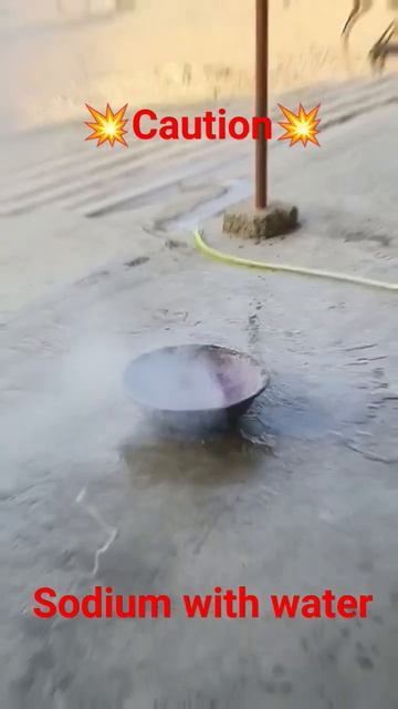 Sodium with Water very Dangerous and very reactive | #shortsvideo #shorts #youtubeshort #sjw смотреть онлайн