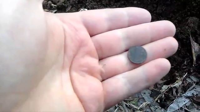 все выходы на коп март, апрель 2017