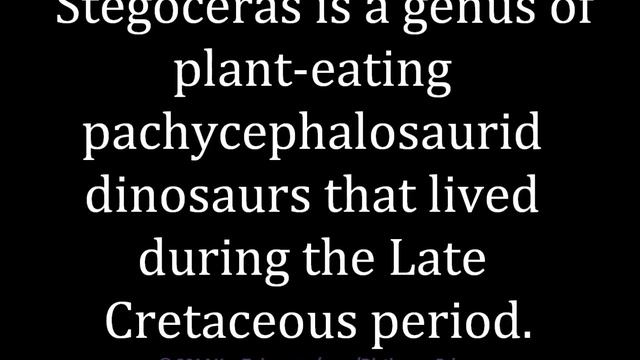 How to pronounce Stegoceras смотреть онлайн