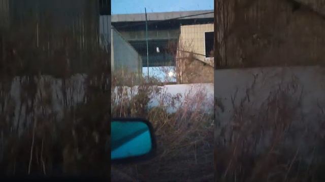 строительство моста старочеркаск большой лог. смотреть онлайн