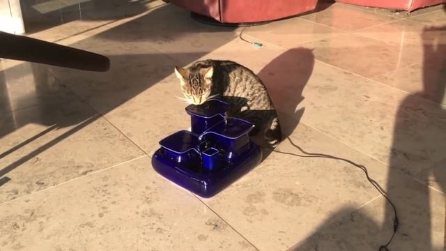 Керамический фонтан для кошек. Ceramic Fountain For Cats